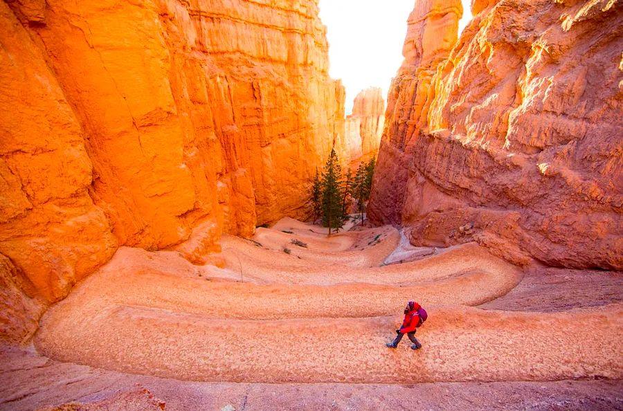 Cover Image for Beginner's guide to Bryce Canyon National Park