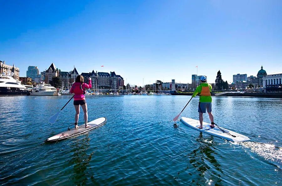 Cover Image for A Beginner's Guide to Vancouver Island