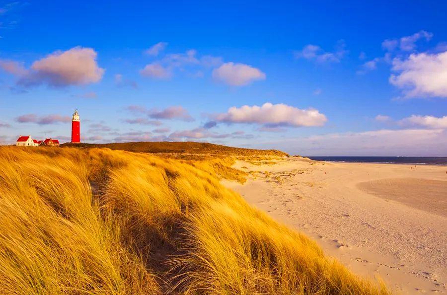 Cover Image for Top destinations to explore in the Netherlands