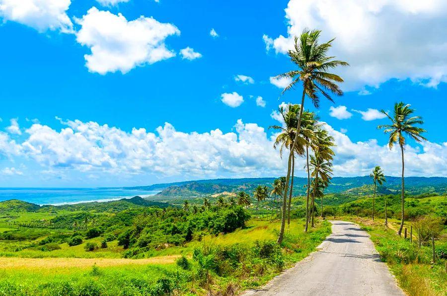 Cover Image for 11 amazing activities to enjoy in Barbados