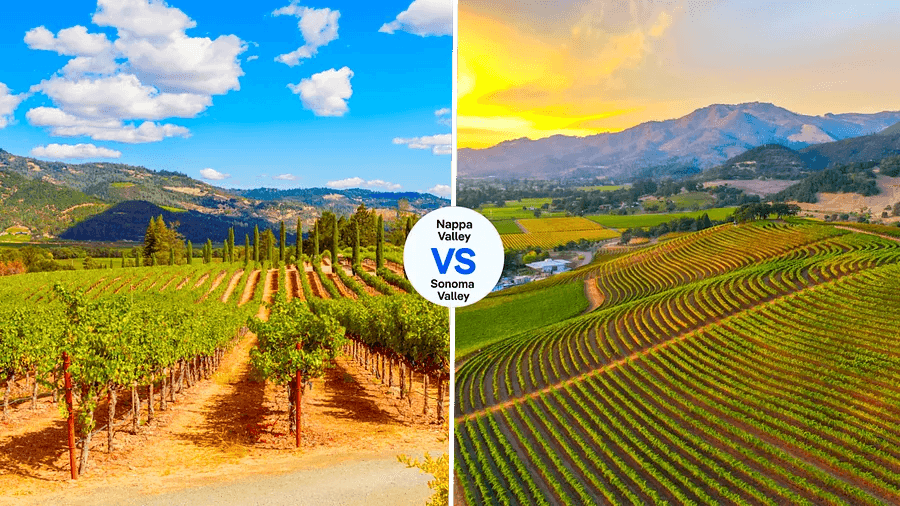 Cover Image for Napa or Sonoma: which California wine region reigns supreme for wine lovers?