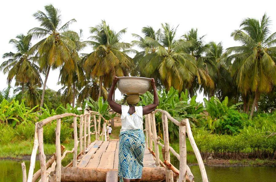 Cover Image for 12 budget-friendly ways to experience Benin