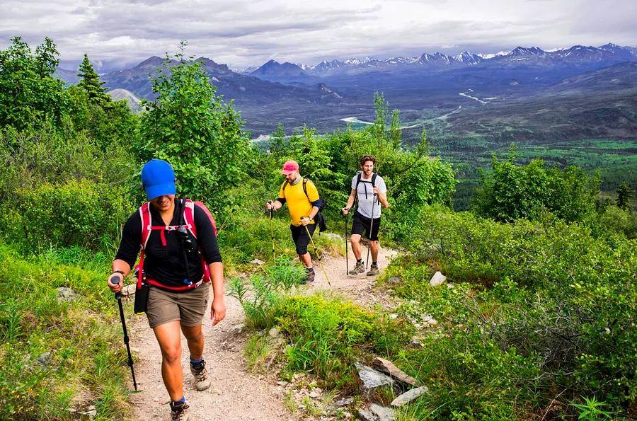 Cover Image for The ultimate guide for first-time visitors to Denali National Park and Preserve