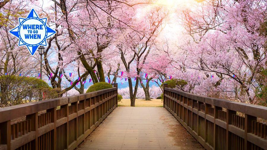 Cover Image for Top Destinations to Explore in March 2024