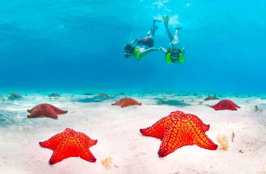 Cover Image for Top 10 must-visit spots in Honduras