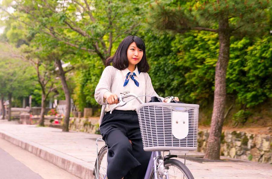 Cover Image for Your complete guide to navigating Kyoto