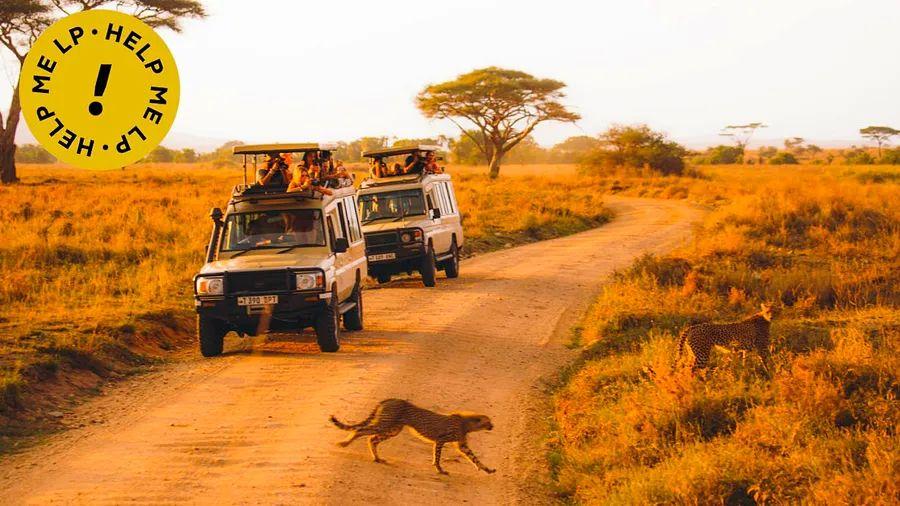 Cover Image for I'm considering a self-drive safari in Botswana, Kenya, or Tanzania—how challenging would it be?