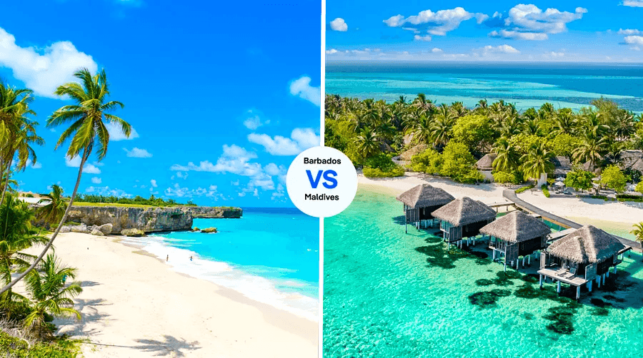 Cover Image for The Maldives vs Barbados: which island paradise is truly the best?