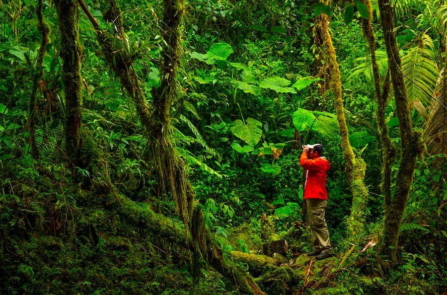 Cover Image for The 13 Top Activities to Experience in Panama