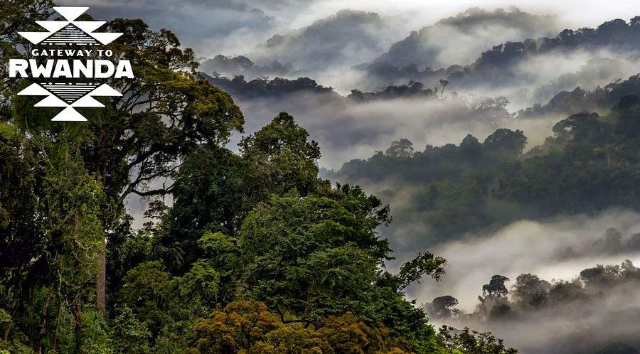 Cover Image for Rwanda is a hub for outdoor adventures