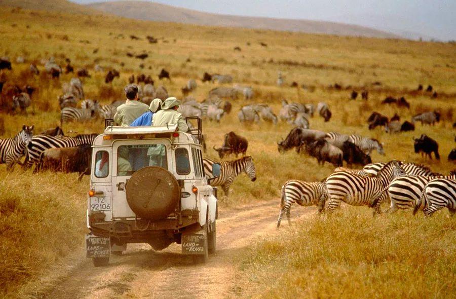 Cover Image for Getting Around in Tanzania