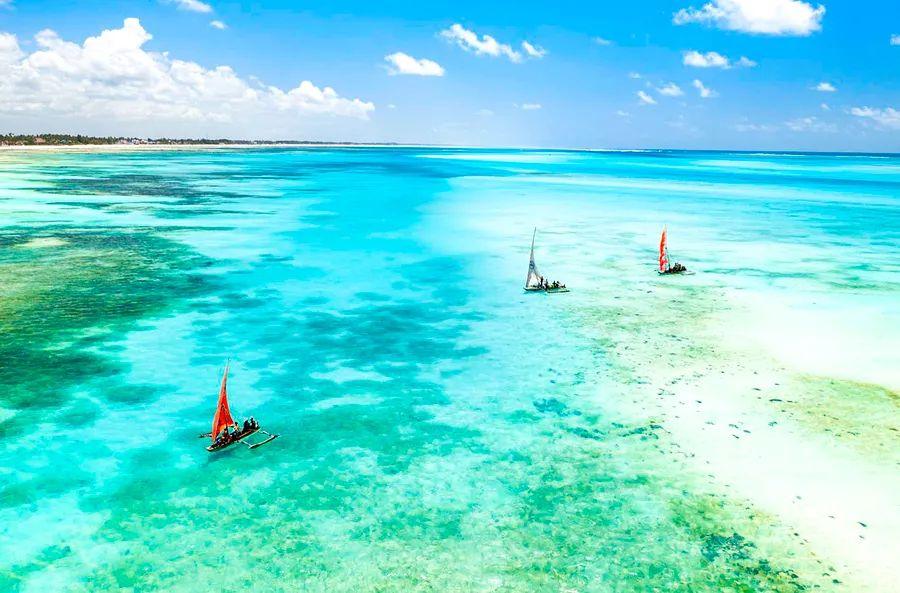 Cover Image for 12 Incredible Experiences in Tanzania