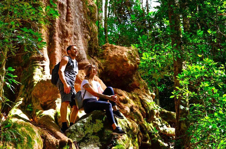 Cover Image for The 12 Most Exciting Hikes to Experience in Australia