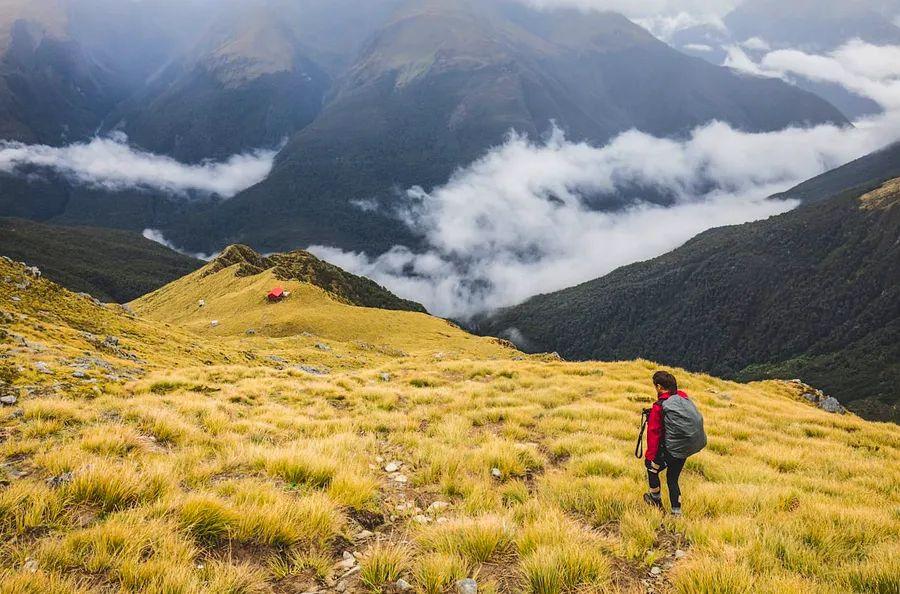 Cover Image for 12 budget-friendly ways to explore New Zealand