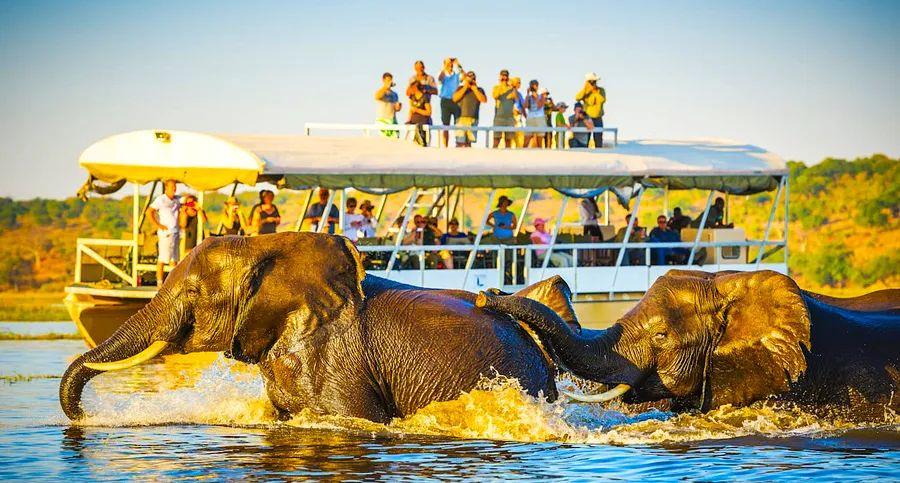 Cover Image for 17 Top Activities to Experience in Botswana