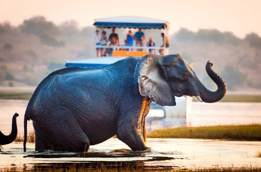 Cover Image for Top 8 Destinations to Explore in Botswana