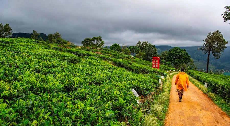 Cover Image for 22 essential tips for traveling to Sri Lanka