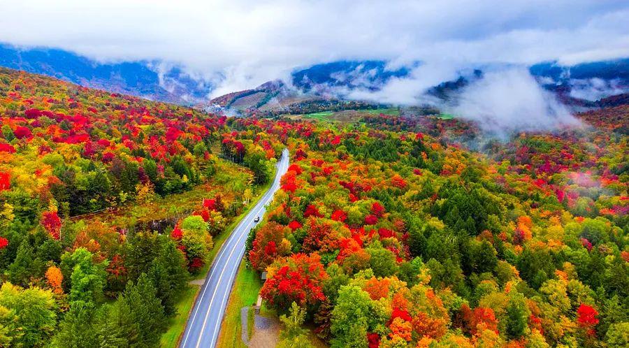 Cover Image for The ideal New England fall foliage road trip for 2023