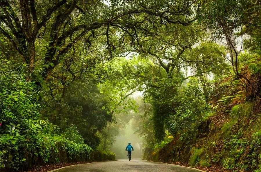 Cover Image for 9 ways to enjoy Sintra away from the crowds