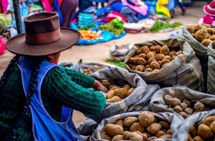 Cover Image for Flavors and culture: A journey through Southern Peru
