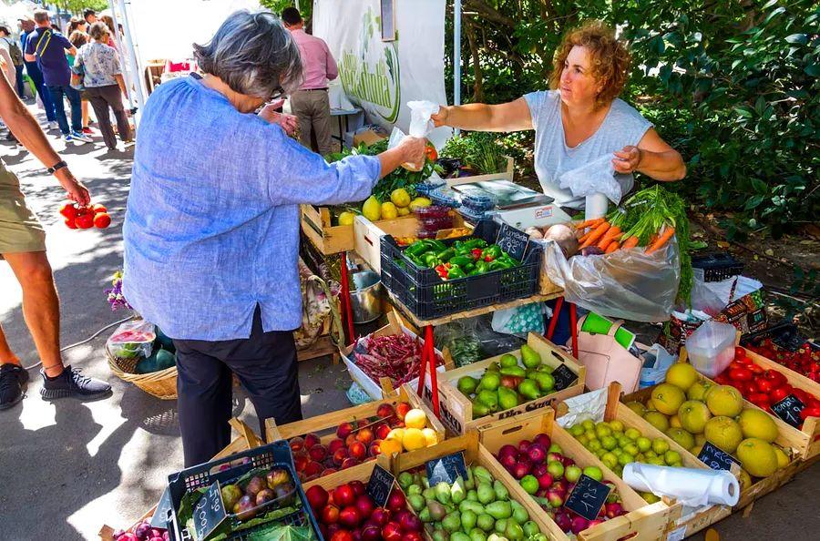 Cover Image for Exploring Lisbon: A journey through the city's stunning viewpoints, bustling markets, and more
