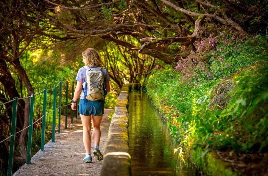 Cover Image for An Introductory Guide to the Enchanting Island of Madeira