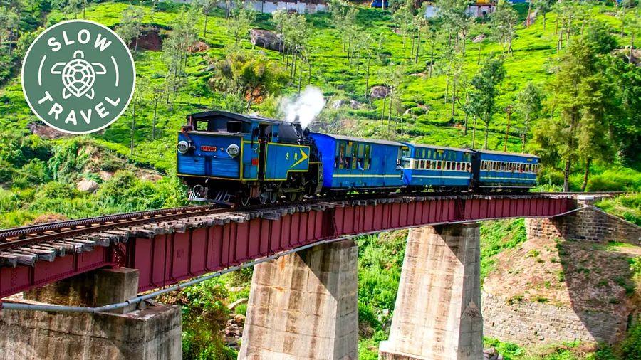 Cover Image for Discovering India’s Western Ghats: trains, tea, and remarkable wildlife encounters
