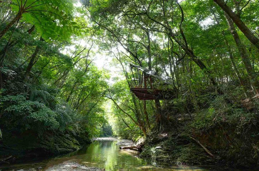 Cover Image for This Tree House Resort in Japan Features 360-Degree Jungle Views — Plus a Slide from the Sauna into the Genka River