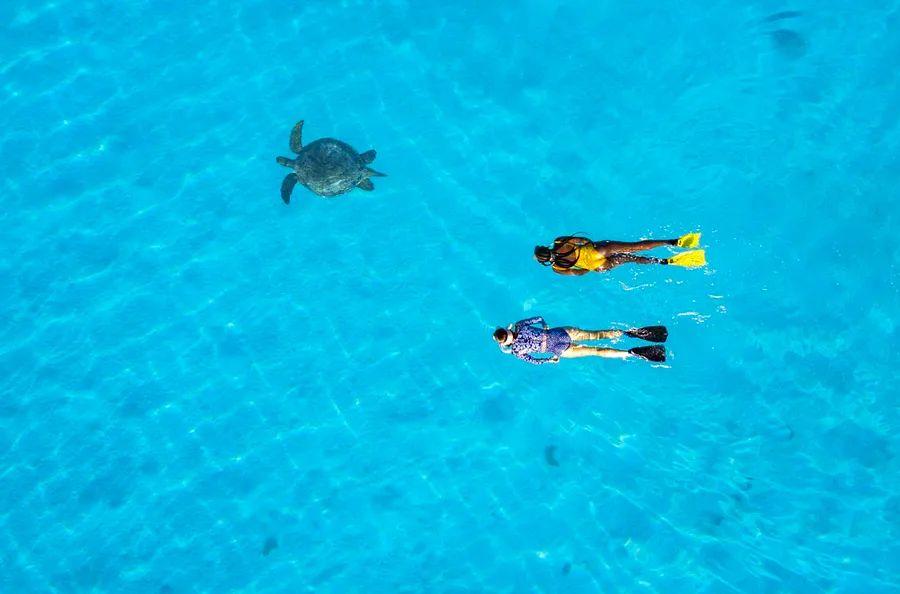 Cover Image for This New Initiative Makes Responsible Visits to Australia’s Great Barrier Reef More Accessible