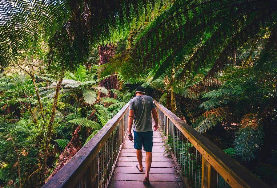 Cover Image for Twelve Must-Visit National Parks in Australia