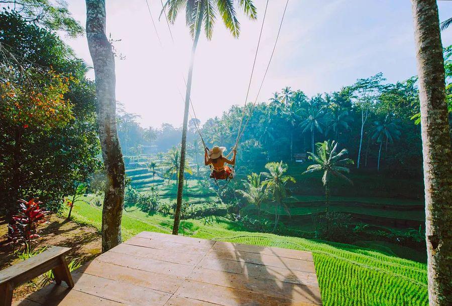 Cover Image for Discover and savor: the top 20 experiences in Bali