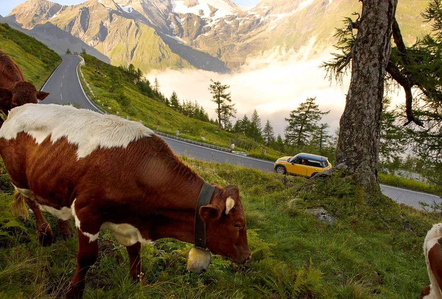 Cover Image for A selection of incredible day trips from Vienna