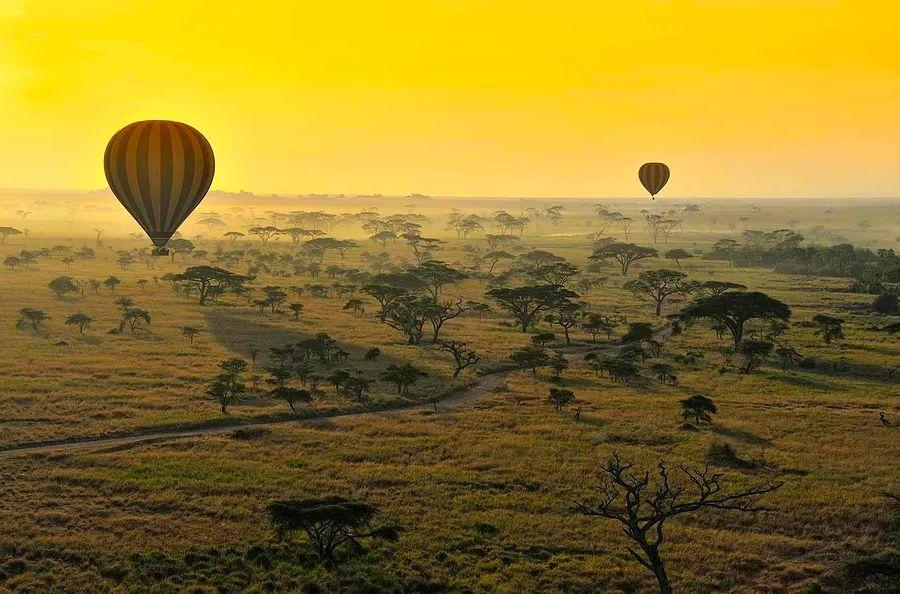 Cover Image for 10 Amazing National Parks in Africa — From Expansive Deserts to Lush Rainforests and Majestic Mountains