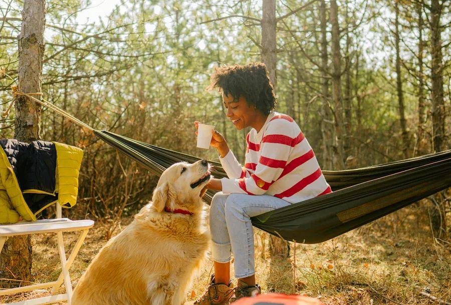 Cover Image for How to Enjoy a Fantastic Camping Experience with Your Canine