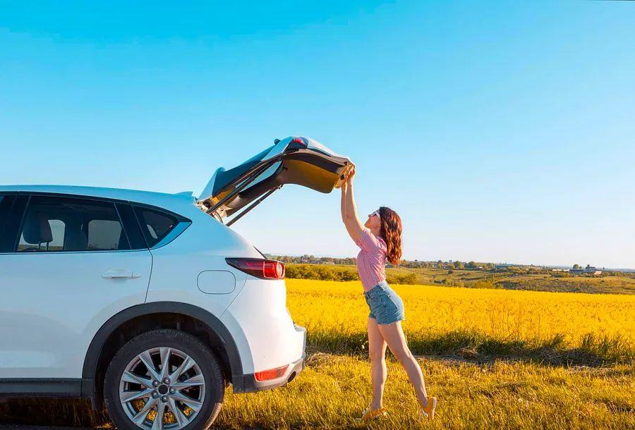 Cover Image for How does it function?