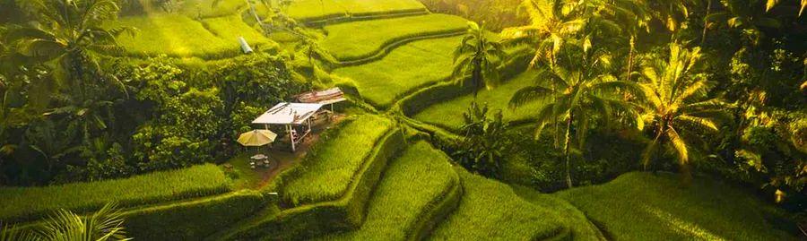 Cover Image for Sidemen Revealed: Discover Where to Stay in Bali’s Tranquil Retreat