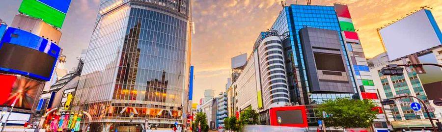 Cover Image for Traveling from Osaka to Tokyo: Optimal Transportation Choices, Routes, and Fares