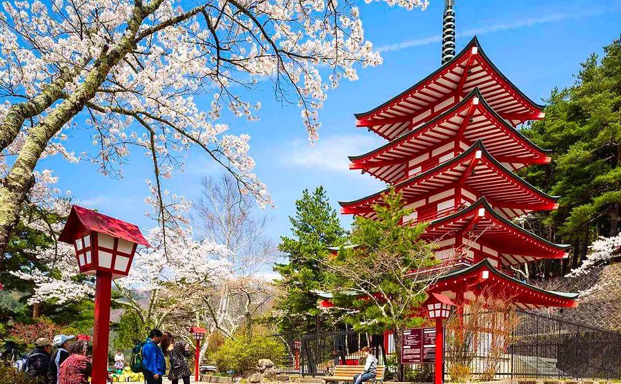 Cover Image for The Best, Worst, and Most Budget-Friendly Times to Visit Japan