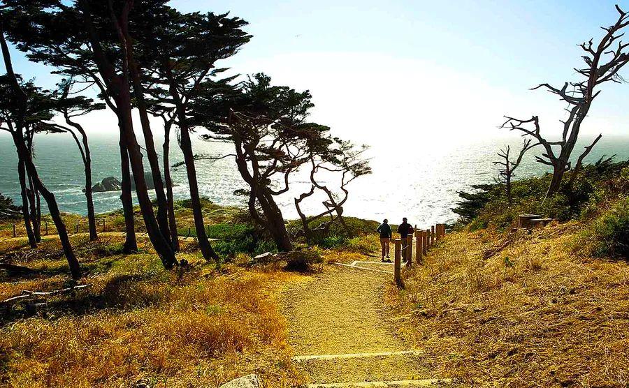 Cover Image for 12 Top Hikes in the San Francisco Bay Area for Every Skill Level