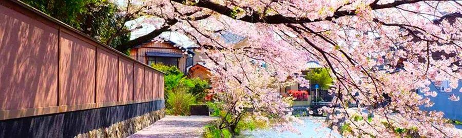 Cover Image for Comparing prepaid IC cards: Suica, Pasmo & Icoca during your trip to Japan