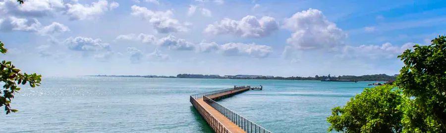 Cover Image for Pulau Ubin: A Must-Visit Destination in Singapore