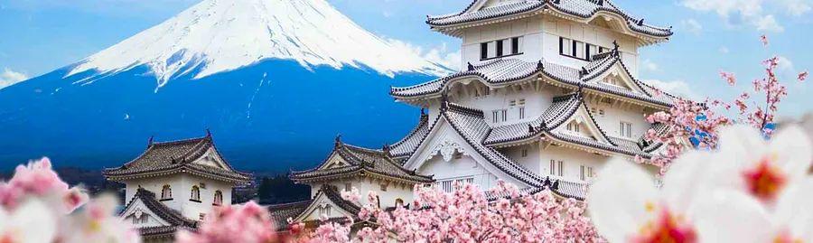 Cover Image for 5 Simple Ways to Travel from Tokyo to Osaka