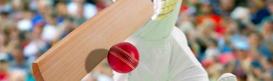 Cover Image for Explore the World's Largest Cricket Stadium
