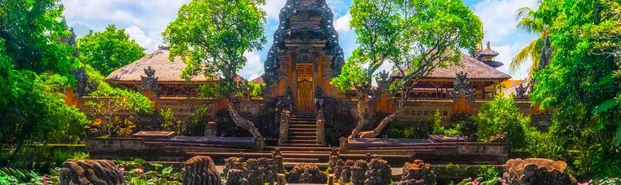 Cover Image for How to Travel from Denpasar to Ubud: Options Including Bus, Taxi, Shuttle, and More