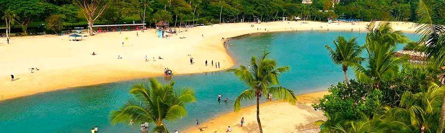 Cover Image for Wildlife at Singapore's Beaches: Activities to Enjoy in Singapore