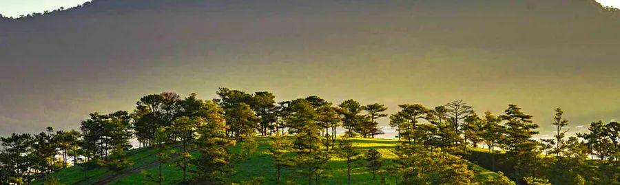 Cover Image for Unique Souvenirs to Discover in Da Lat