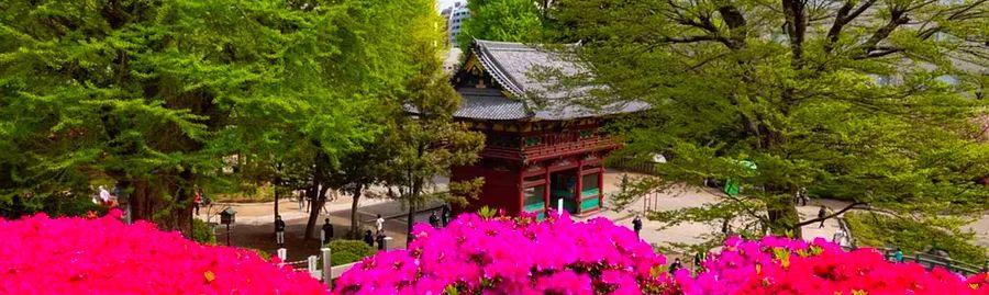 Cover Image for Top Tourist Spots for Silver Week in Japan