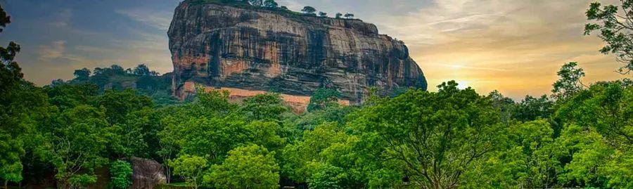 Cover Image for What is the Ideal Time to Visit Sri Lanka? Your Ultimate Guide 