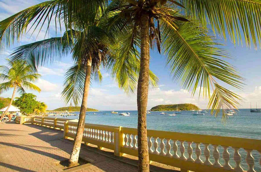 Cover Image for Your Ultimate Guide to Planning a Dream Getaway in Vieques, Puerto Rico