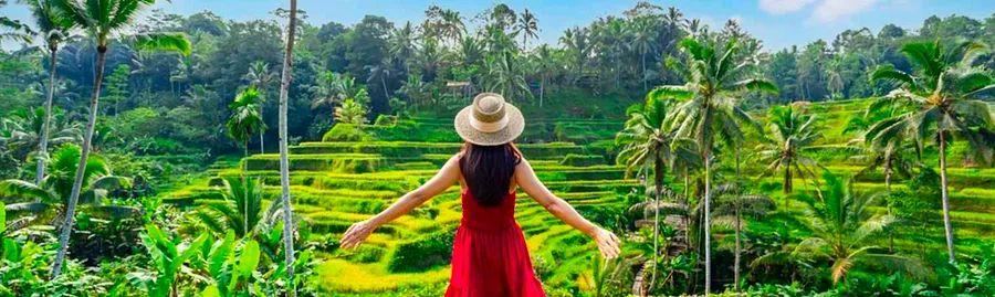 Cover Image for Latest Update on Bali's Tourist Tax 2024: Essential Information for Travelers